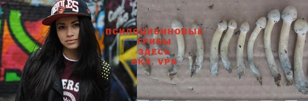 apvp Абдулино
