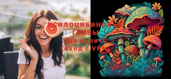 ПСИЛОЦИБИНОВЫЕ ГРИБЫ Абаза
