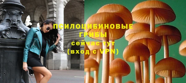ПСИЛОЦИБИНОВЫЕ ГРИБЫ Абаза