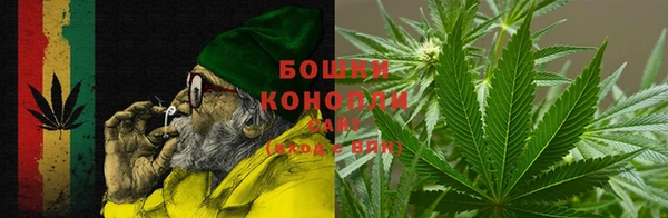ПСИЛОЦИБИНОВЫЕ ГРИБЫ Абаза