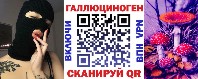 Псилоцибиновые грибы Cubensis  как найти закладки  Нерчинск 
